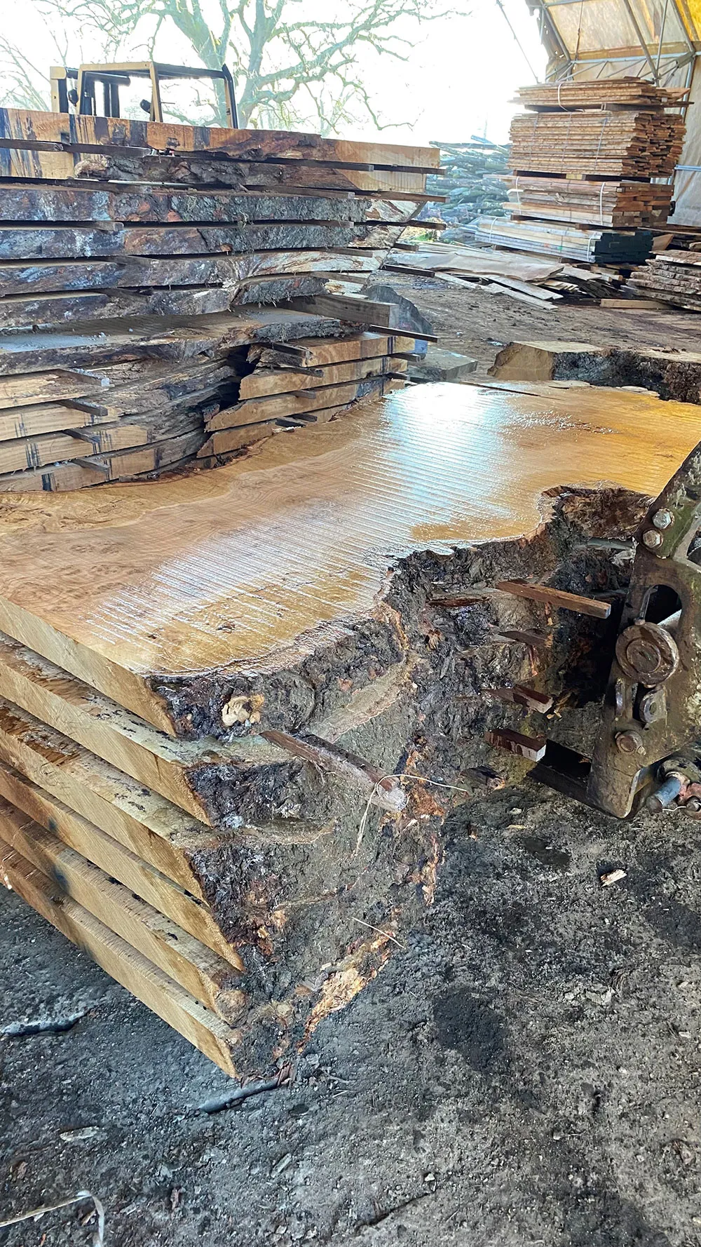Bosworth Sawmills