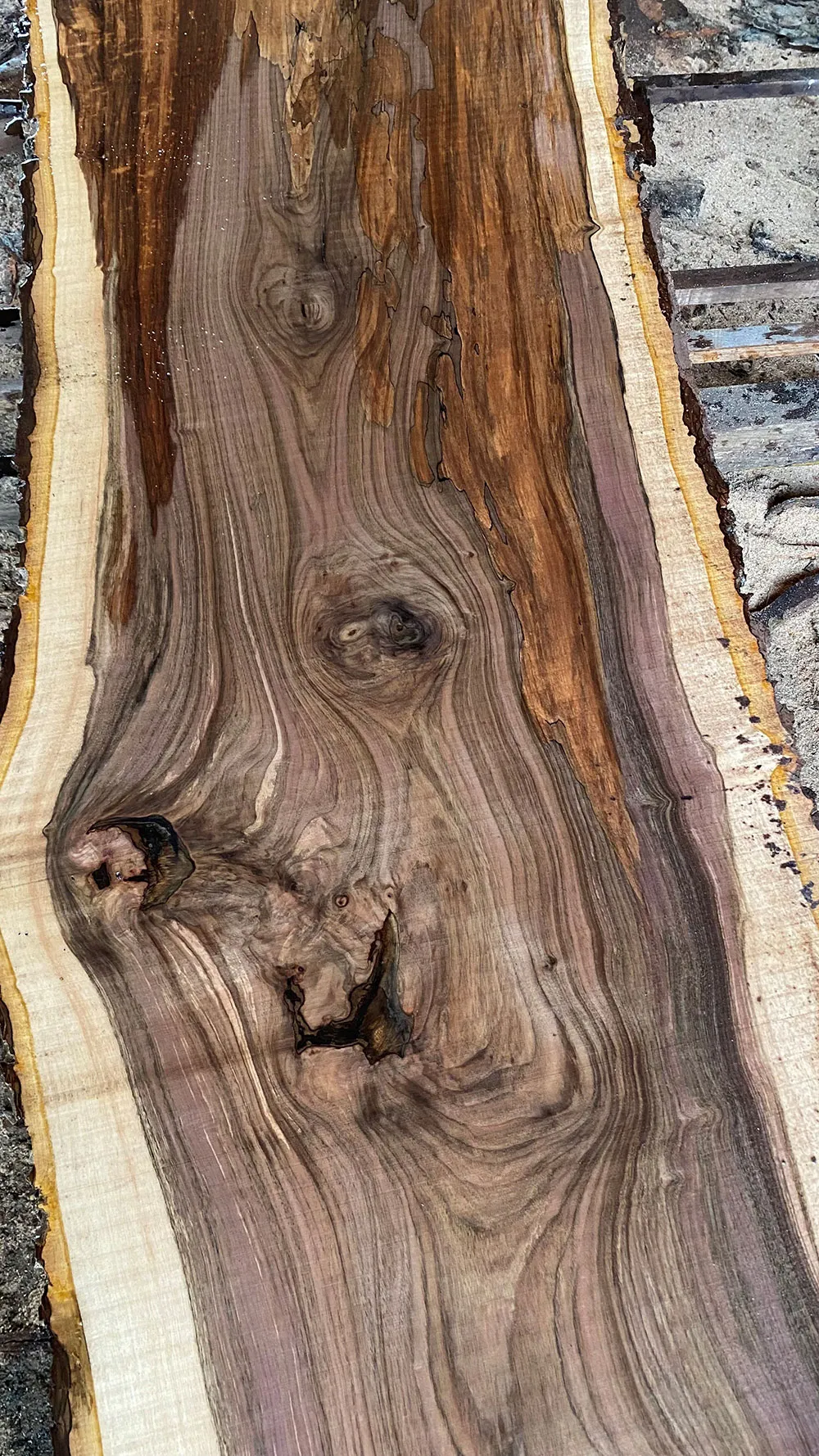 Bosworth Sawmills