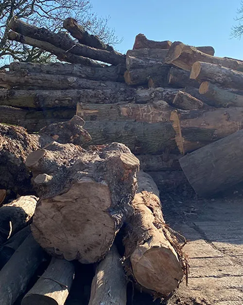 Bosworth Sawmills