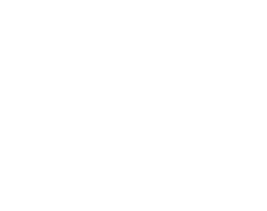Bosworth Sawmills White Logo