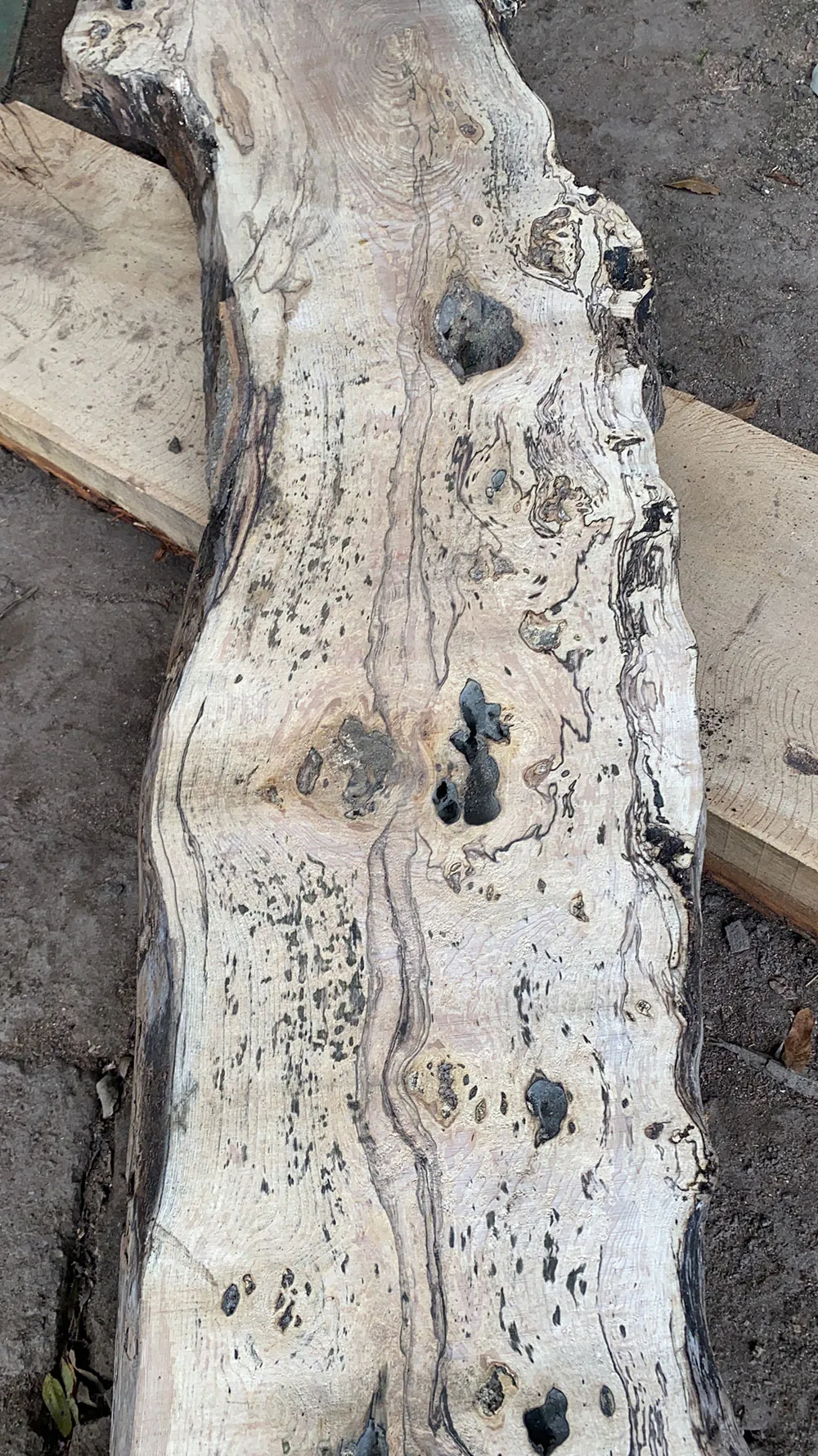 Bosworth Sawmills