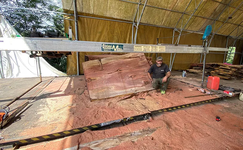 Timber photos